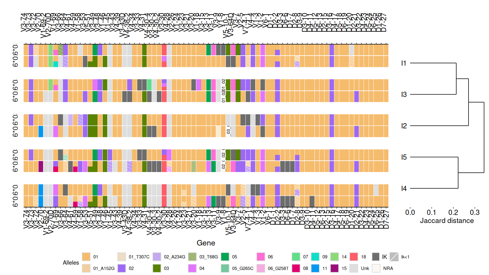 Haplotype dendrogram